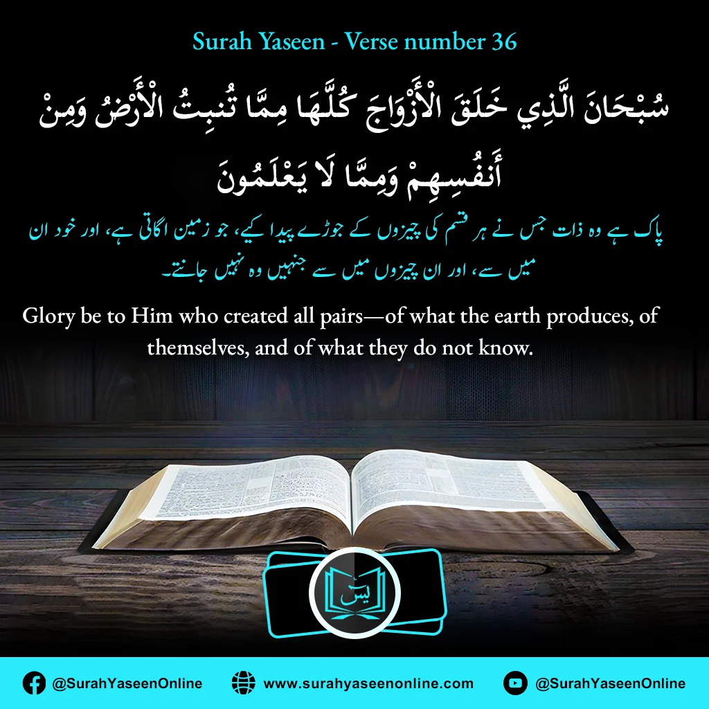 Surah Yaseen - Ayat Number 36